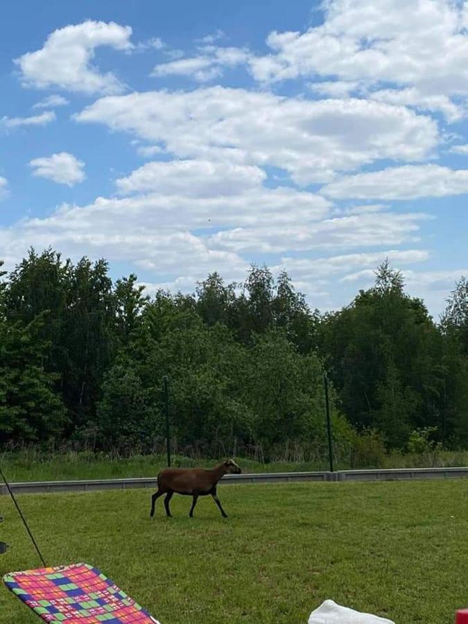 Vila Gosp. Agroturystyczne Stary Gaj Zerkowice Exteriér fotografie