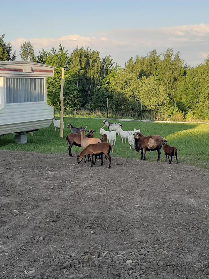 Vila Gosp. Agroturystyczne Stary Gaj Zerkowice Exteriér fotografie