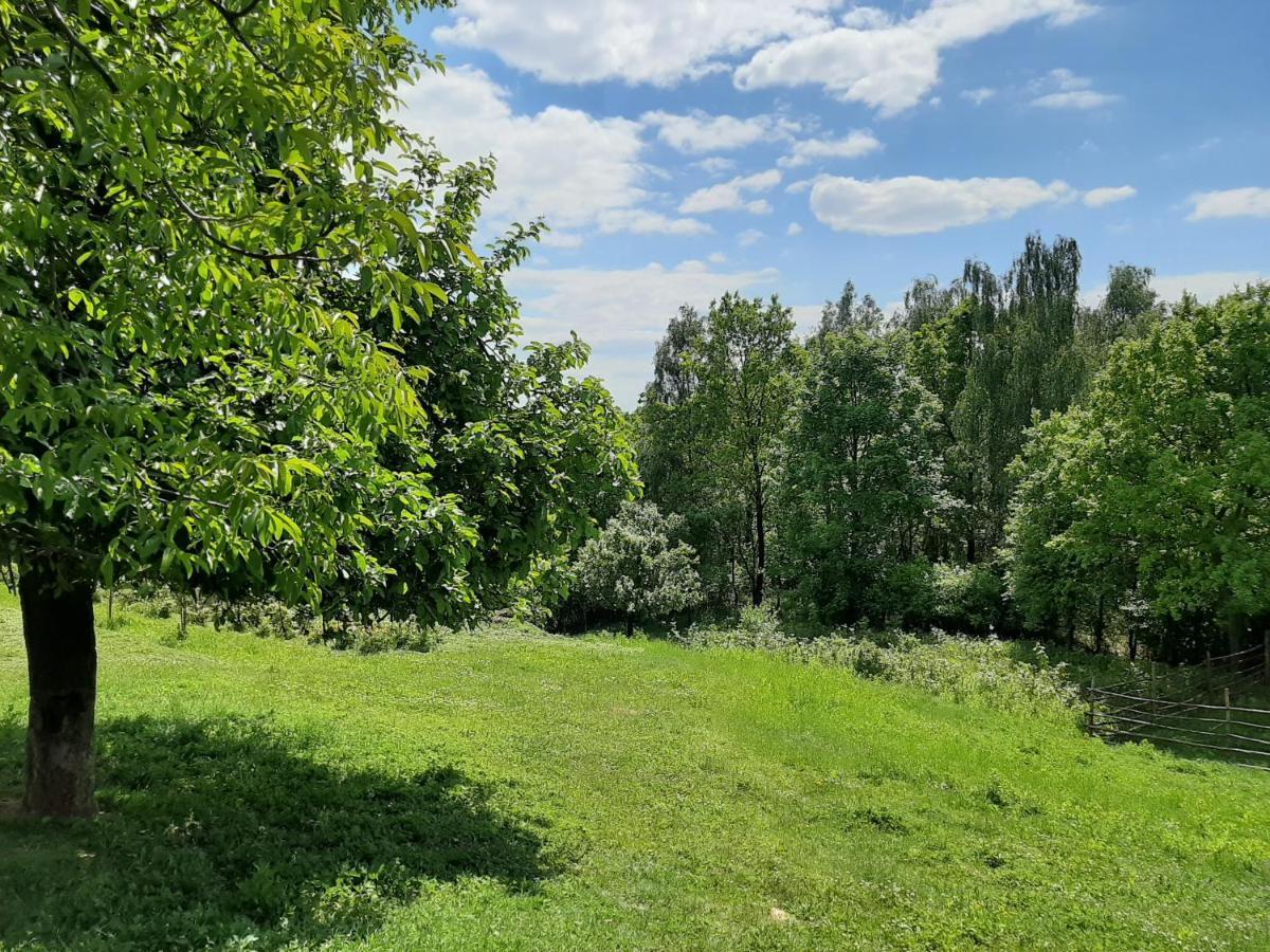Vila Gosp. Agroturystyczne Stary Gaj Zerkowice Exteriér fotografie