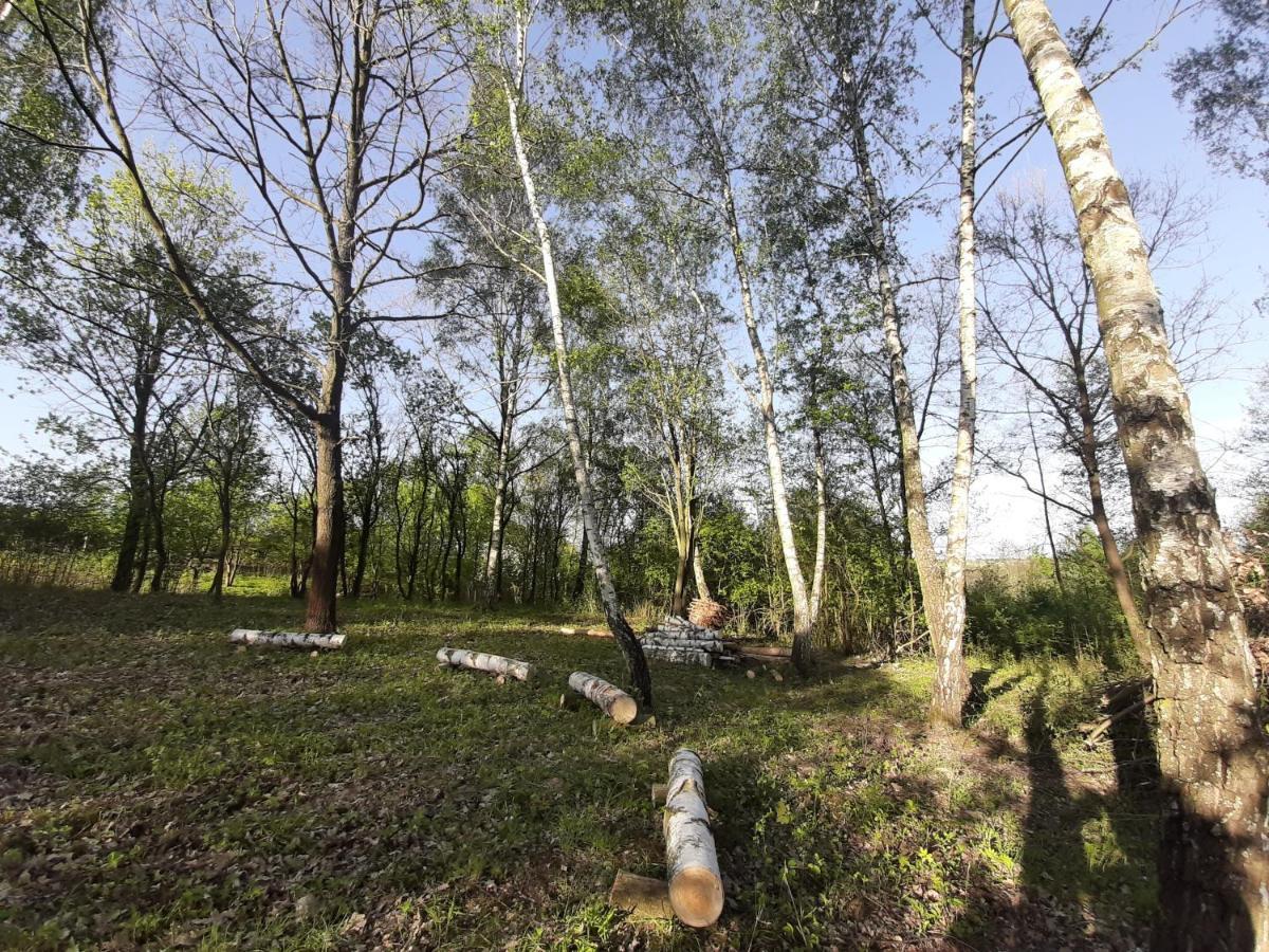 Vila Gosp. Agroturystyczne Stary Gaj Zerkowice Exteriér fotografie