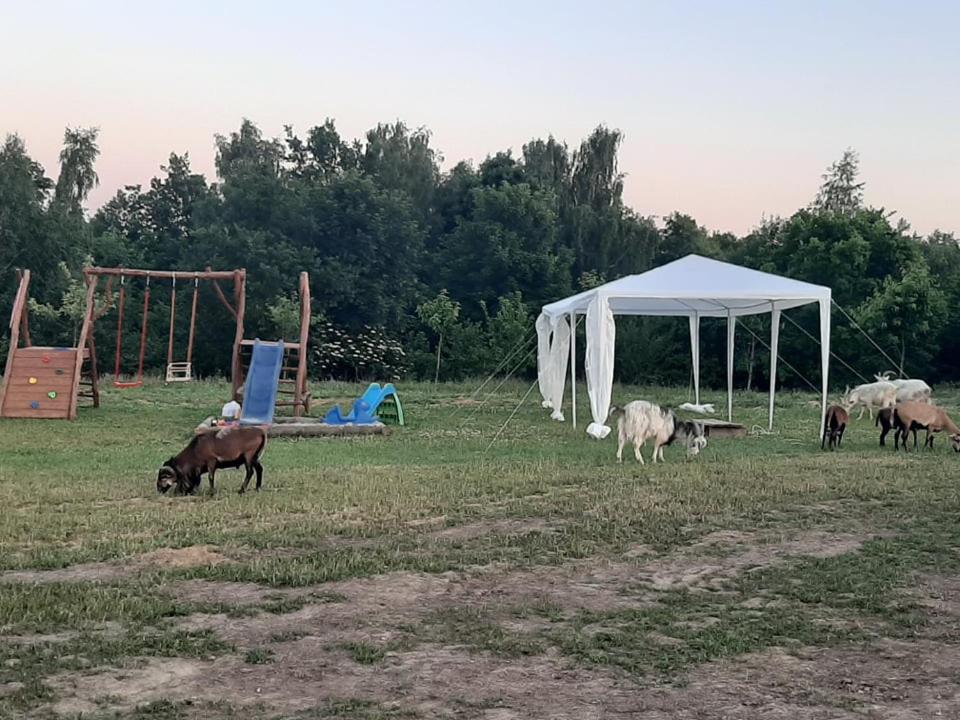 Vila Gosp. Agroturystyczne Stary Gaj Zerkowice Exteriér fotografie