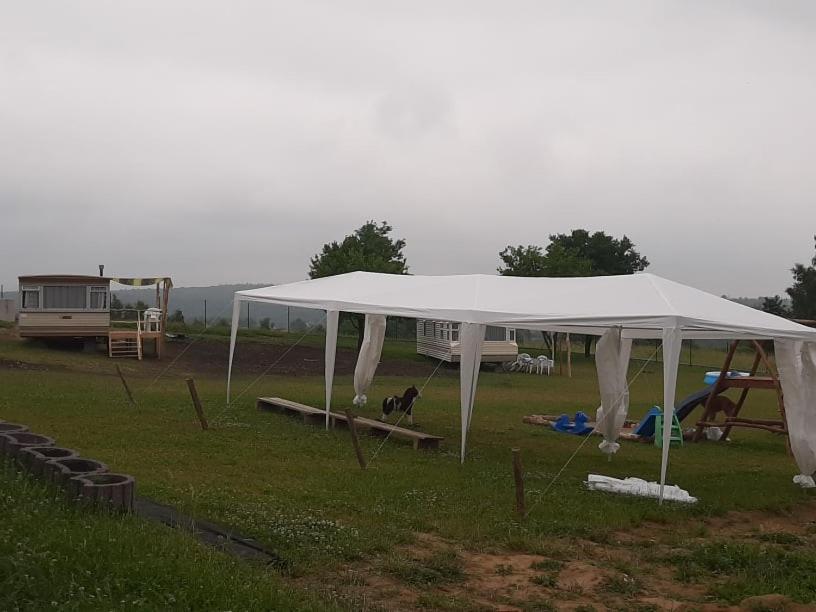 Vila Gosp. Agroturystyczne Stary Gaj Zerkowice Exteriér fotografie