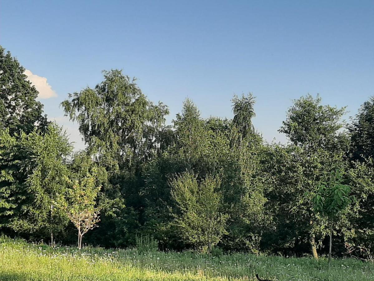 Vila Gosp. Agroturystyczne Stary Gaj Zerkowice Exteriér fotografie